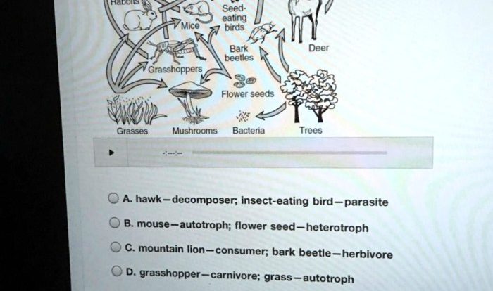 Which organisms and set of characteristics are correctly paired